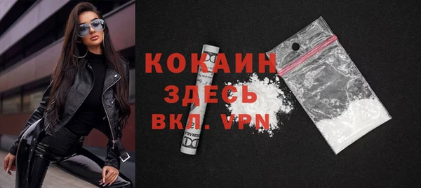 гашик Осташков