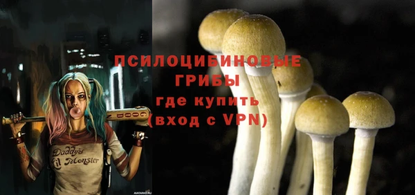 гашик Осташков