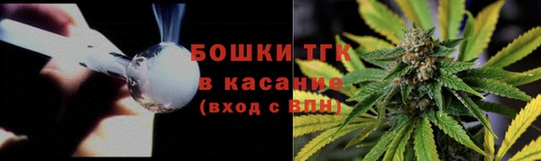 a pvp Осинники