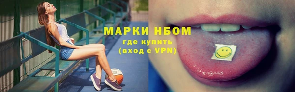 гашик Осташков
