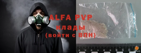 гашик Осташков