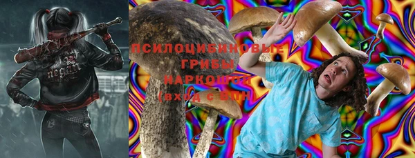a pvp Осинники