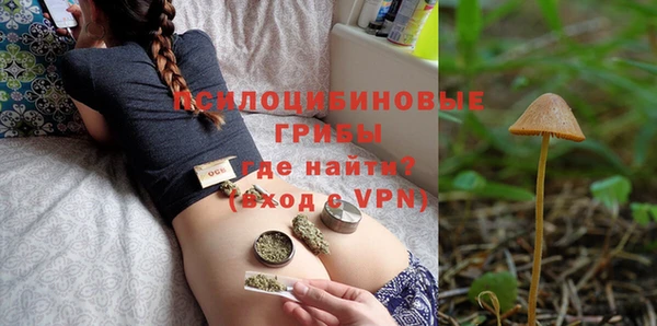гашик Осташков