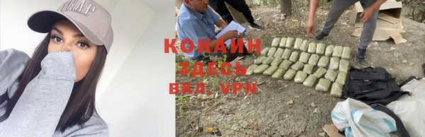 гашик Осташков