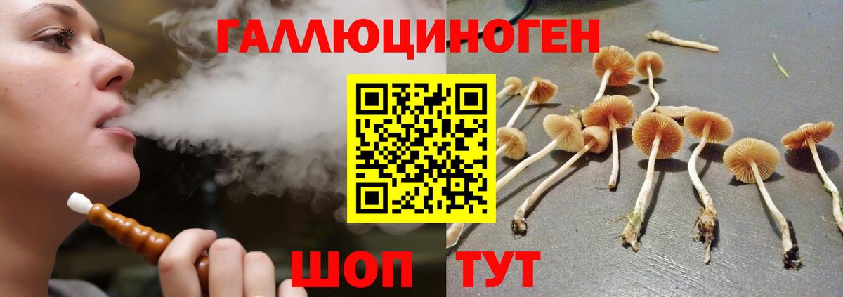 Псилоцибиновые грибы Psilocybe  даркнет сайт  Барабинск  Псилоцибиновые грибы Cubensis  Вход с VPN 