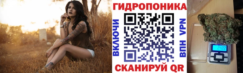 Каннабис LSD WEED  hydra как войти  Барабинск 